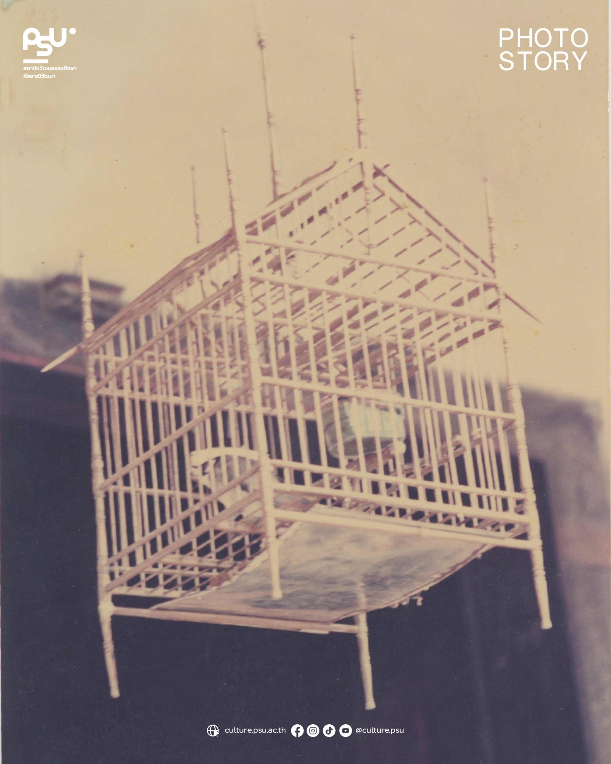 PhotoStory_แข่งเสียงตะกแตน2568 - Web-03